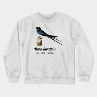 Barn Swallow Crewneck Sweatshirt